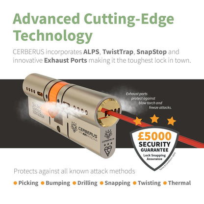 CERBERUS TS007 3* Keyed-Alike Euro Cylinders