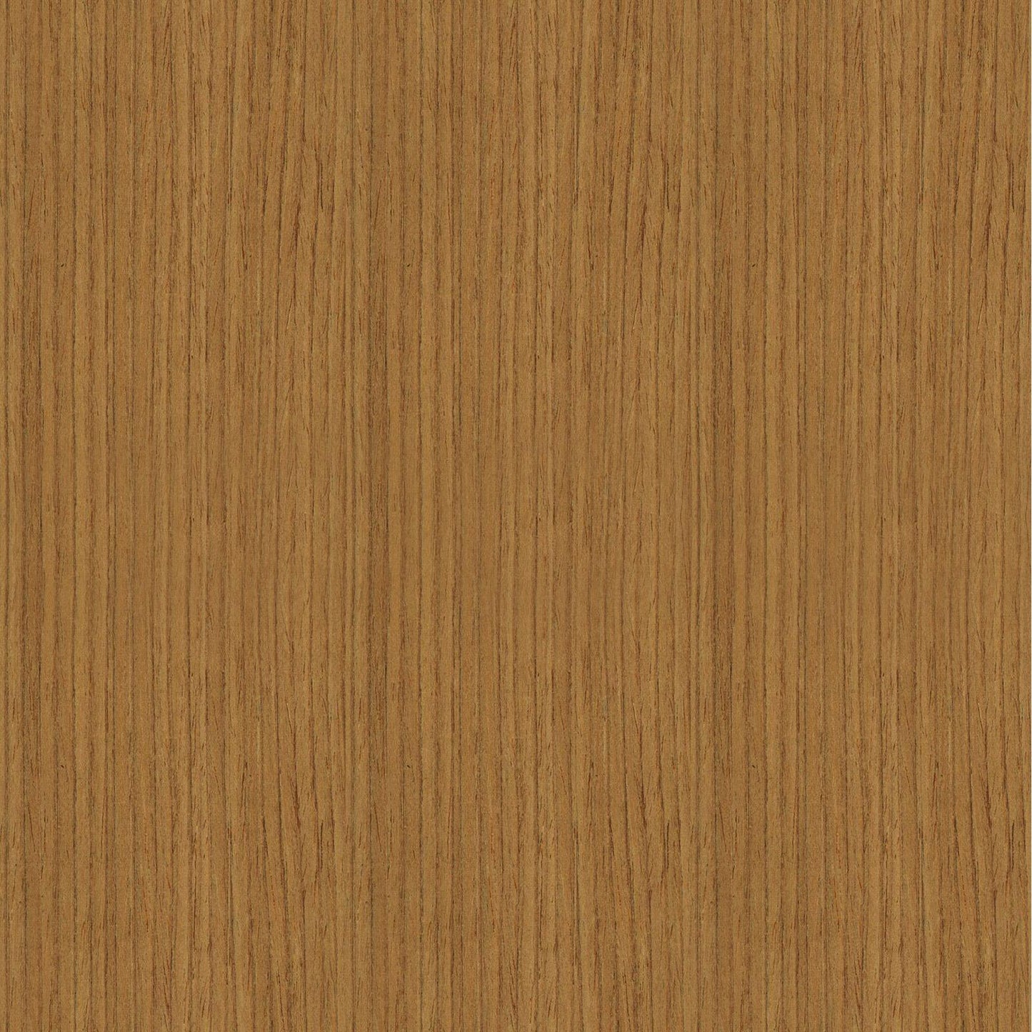 Zest Acoustic Wall Panel