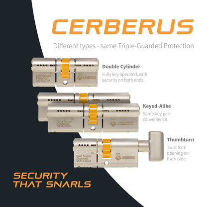 CERBERUS TS007 3* Keyed-Alike Euro Cylinders
