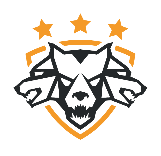 CERBERUS