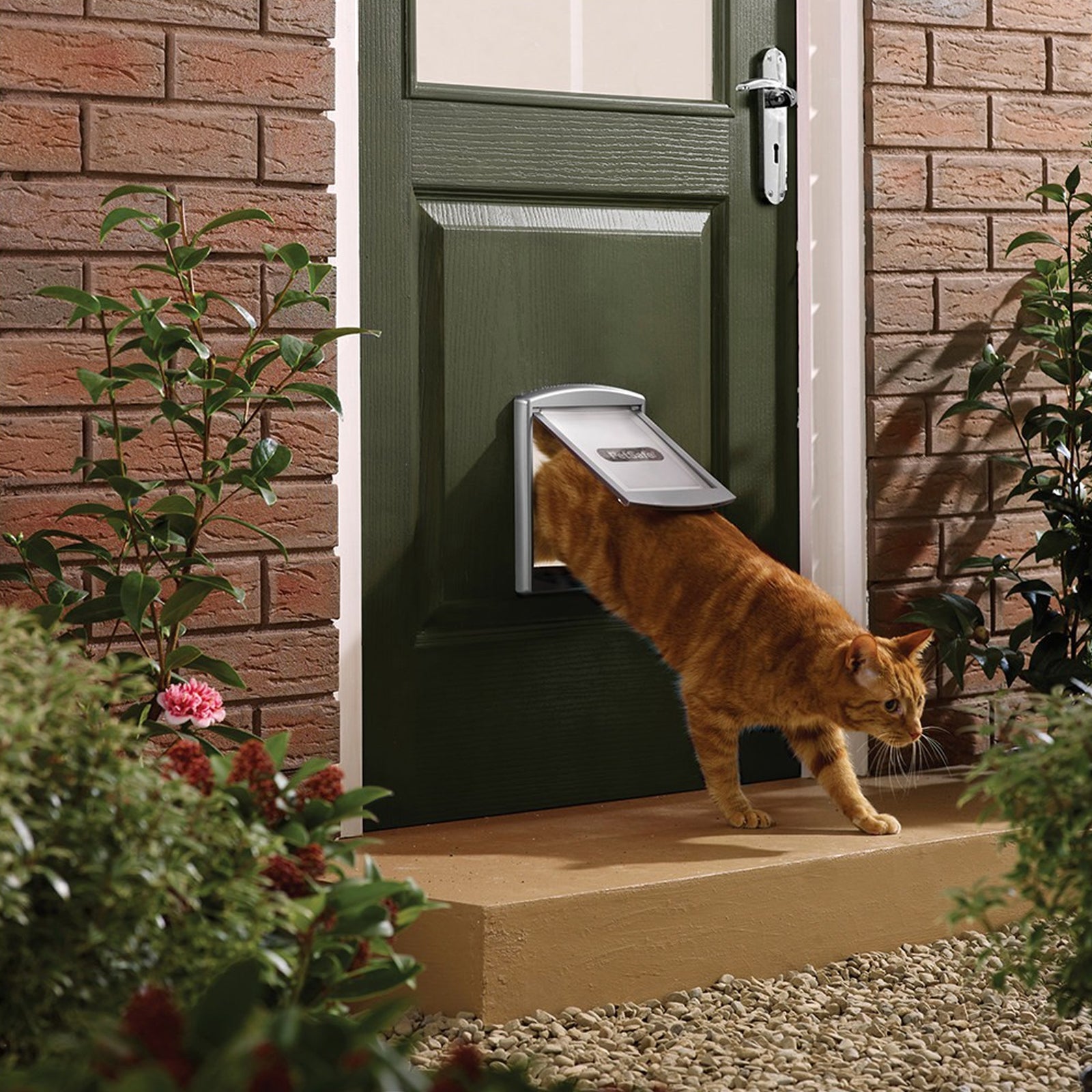 PetSafe Original Cat Flap Lockable Two-Way Opening – Truly PVC