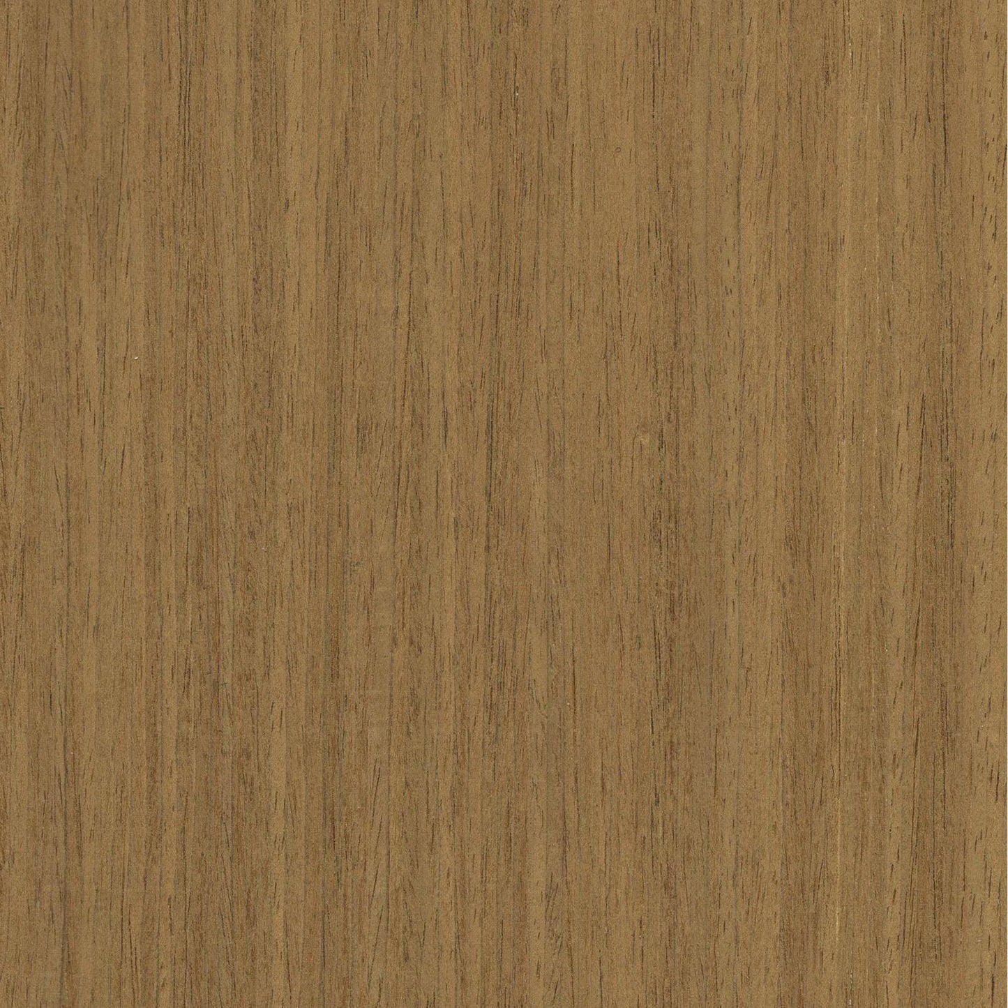 Zest Acoustic Wall Panel