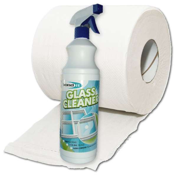 Glass Cleaner Spray + Tissue